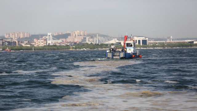 38 günde 100 ton deniz salyası toplandı