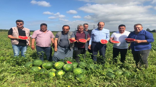 Adanada karpuz hasadı başladı