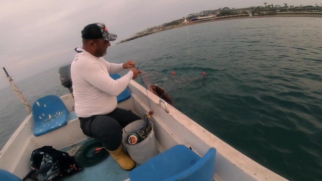 Amatör balıkçı, ağa takılan Caretta Carettayı ‘gülüm, bir tanem diyerek kurtardı