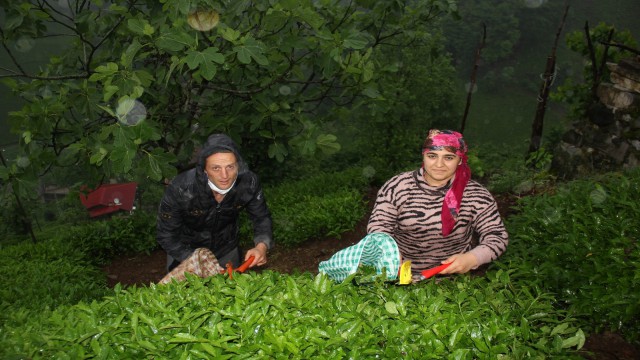 Azerbaycanlı gelin bir yılın sonunda Rizeli eşine kavuşabildi