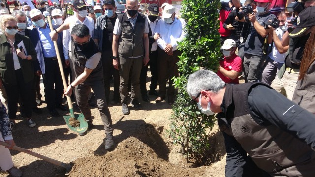 Bakan Pakdemirli Hataydaki yanan alanda fidan dikti