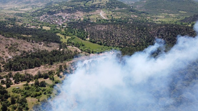 Balyadaki orman yangını kontrol altına alındı