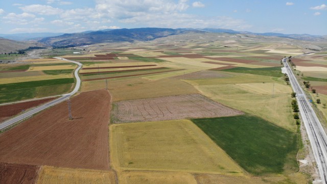 Bayat Ovasında 250 bin dönüm tarım arazisini kuraklık vurdu