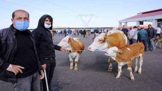 Bayburtta hayvan pazarı, tekrardan açıldı