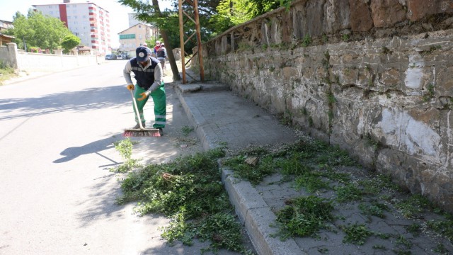 Bitliste yabani ot temizliği