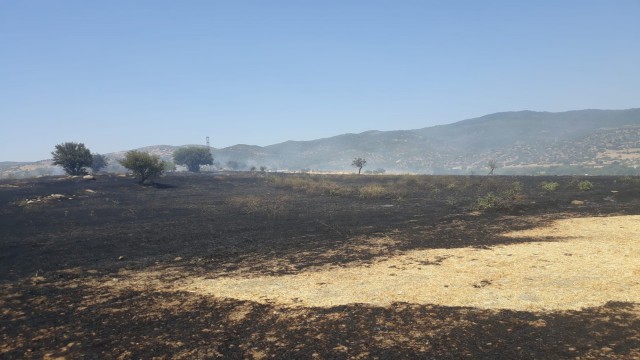 Çinede onlarca dönüm ekili arazi alevlere teslim oldu