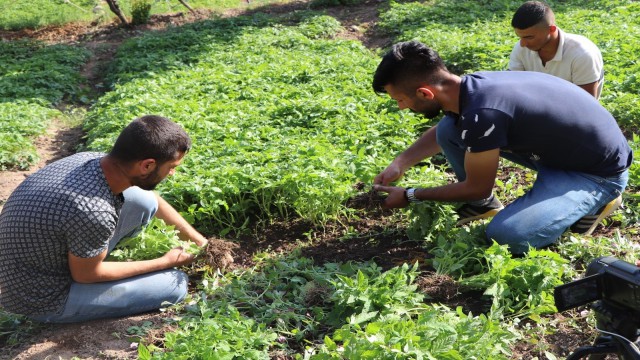 Devlet destek verdi, Türkiyenin farklı illerinden sipariş yağmaya başladı