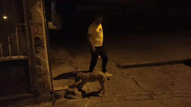 Ekmeğini yoldan geçen köpekle paylaştı, insanlık ölmemiş dedirtti