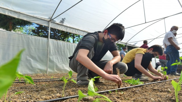 Elazığda ‘Ağacımla büyüyorum, kendi seramda üretiyorum projesi