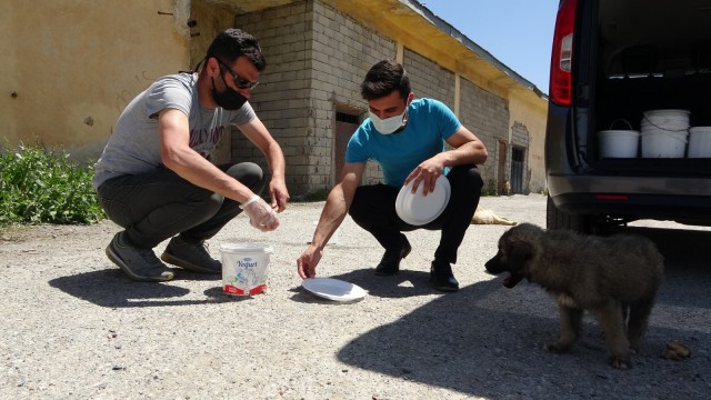 Hayvanseverler sokak hayvanlarını bayramda unutmadı