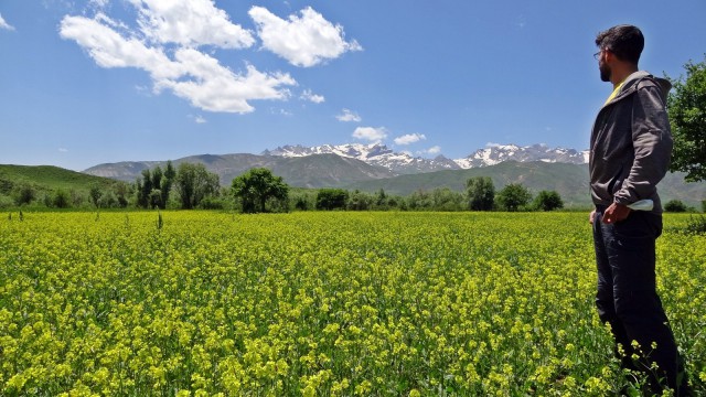 İsviçreli turist Yüksekova dağlarına hayran kaldı