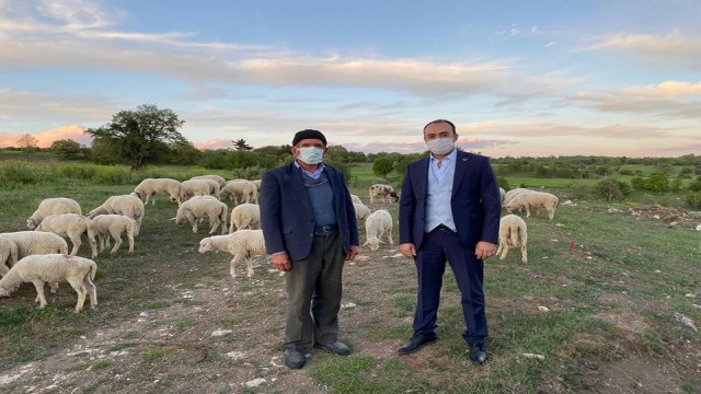 Kaymakam Pelvan: Aslanapada hayvancılık en önemli gelir kaynağı