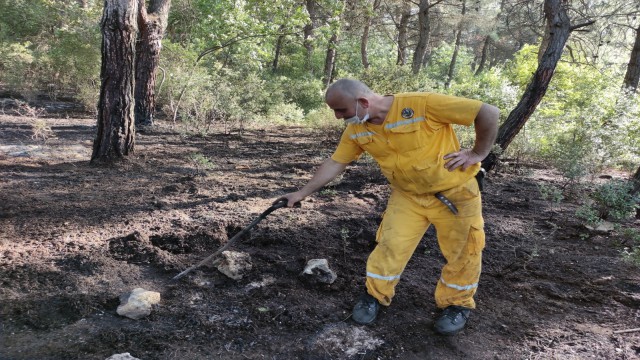 Kısıtlamada mangal keyfi ormanı yaktı