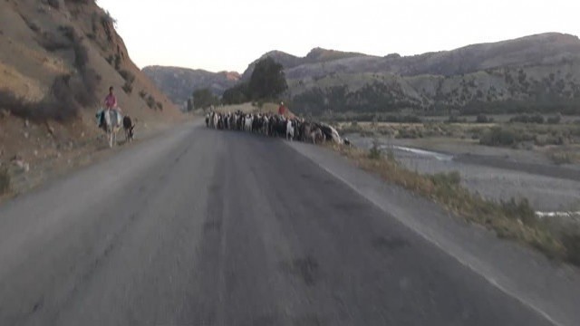 Kulpta göçerlerin zorlu yayla yolculuğu