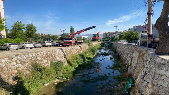 Milasta dere temizliği