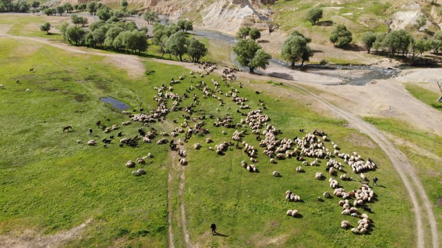 Muşta çadırlar kuruldu yaylalar şenlendi