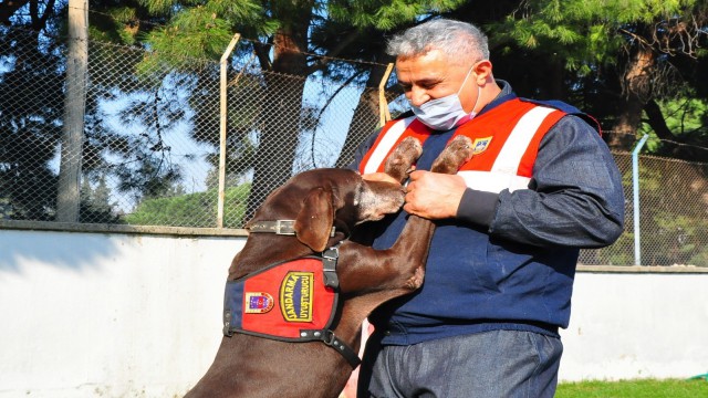 Narkotik köpeği ‘Volta emekli oldu