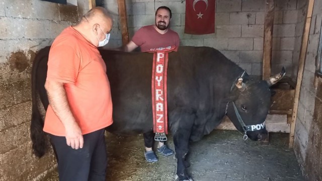 Oğlundan ayırt etmedi, boğasına da bayramlık aldı