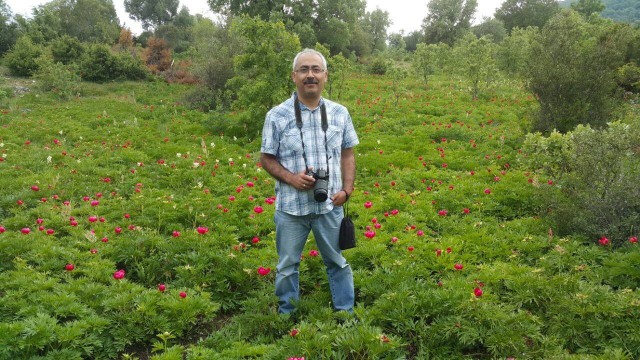 Prof Dr. Fatih Satıl, Arıcılık için bal ormanlarını artırmalıyız