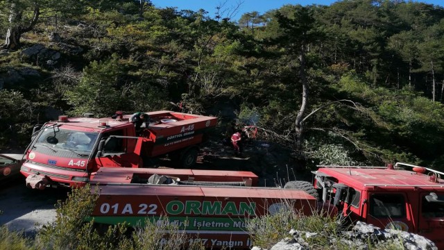 Tarladan ormanlık alana sıçrayan yangın söndürüldü